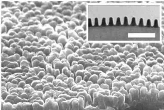 ϣ���׽̻�ȫ��������ѣ�⣬ȫ���ػ���ͯ����