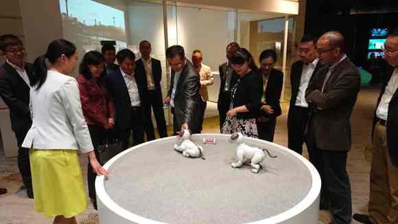 ���Ų��쵼ݰ�������ܲ��ηã�˫��ǩ��8K������ת����Э�飡