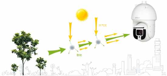 �󻪹ɷ�͸����������һƬ������Ұ��