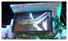 Global Projector:SCRAMscreen &reg; Rear Projection Screens