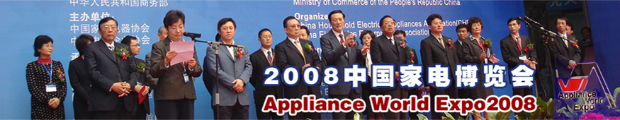 2008�й��ҵ粩����ר�ⱨ��