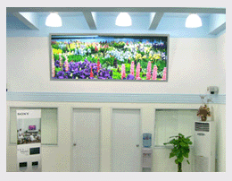 �㶫ͶӰ��������