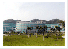 �㶫ͶӰ��������