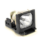 ������Ƶչ̨������