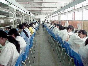 ����ͶӰ��������