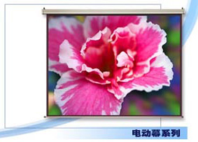 �㶫ͶӰ��������