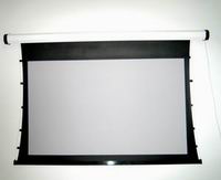 ����ͶӰĻ������