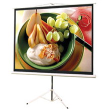 �㶫ͶӰ��������