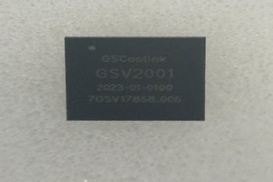 GSV2001